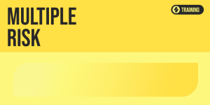 Multiple Risk 